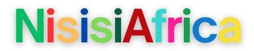 Nisisi Connect Hub Foundation